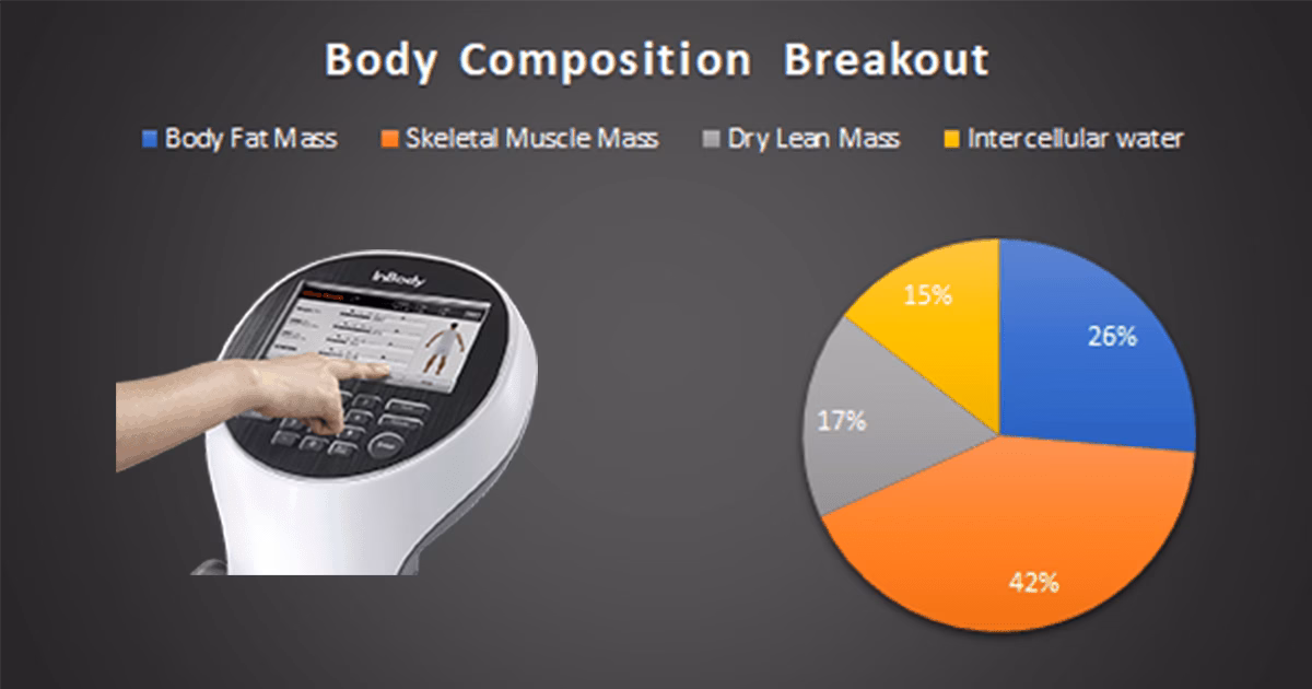 InBody Scan