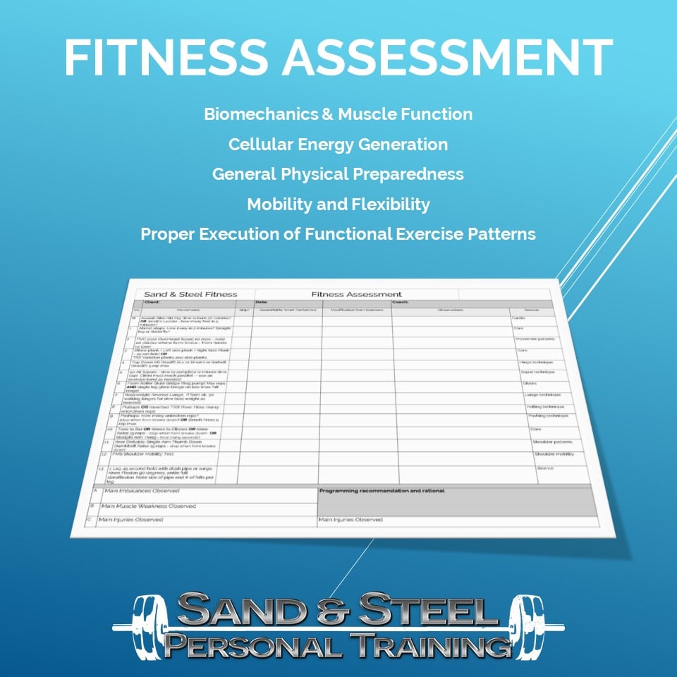 Fitness Assessment focus areas — biomechanics, conditioning, mobility, and functional movement patterns at Sand & Steel Fitness
